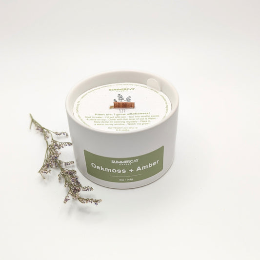 Oakmoss + Amber Nordic Mini Candle