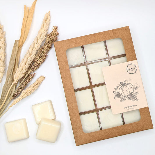 Pumpkin Kisses Wax Melts, Cozy Autumn Fragrance, SummerCay