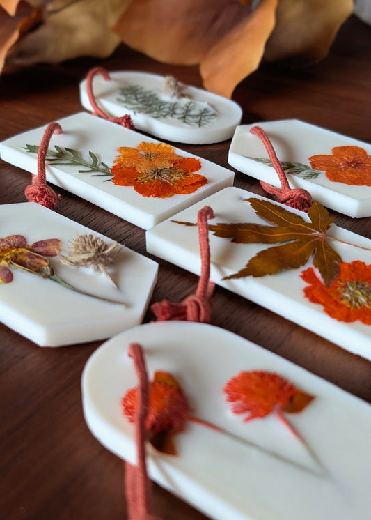 Complete Fall Collection - All 6 Scents - Wax Sachets