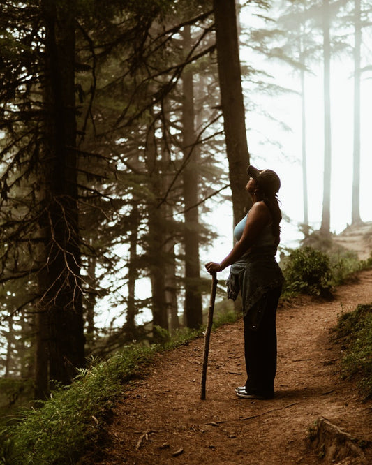 Person hiking on a misty forest path with a walking stick