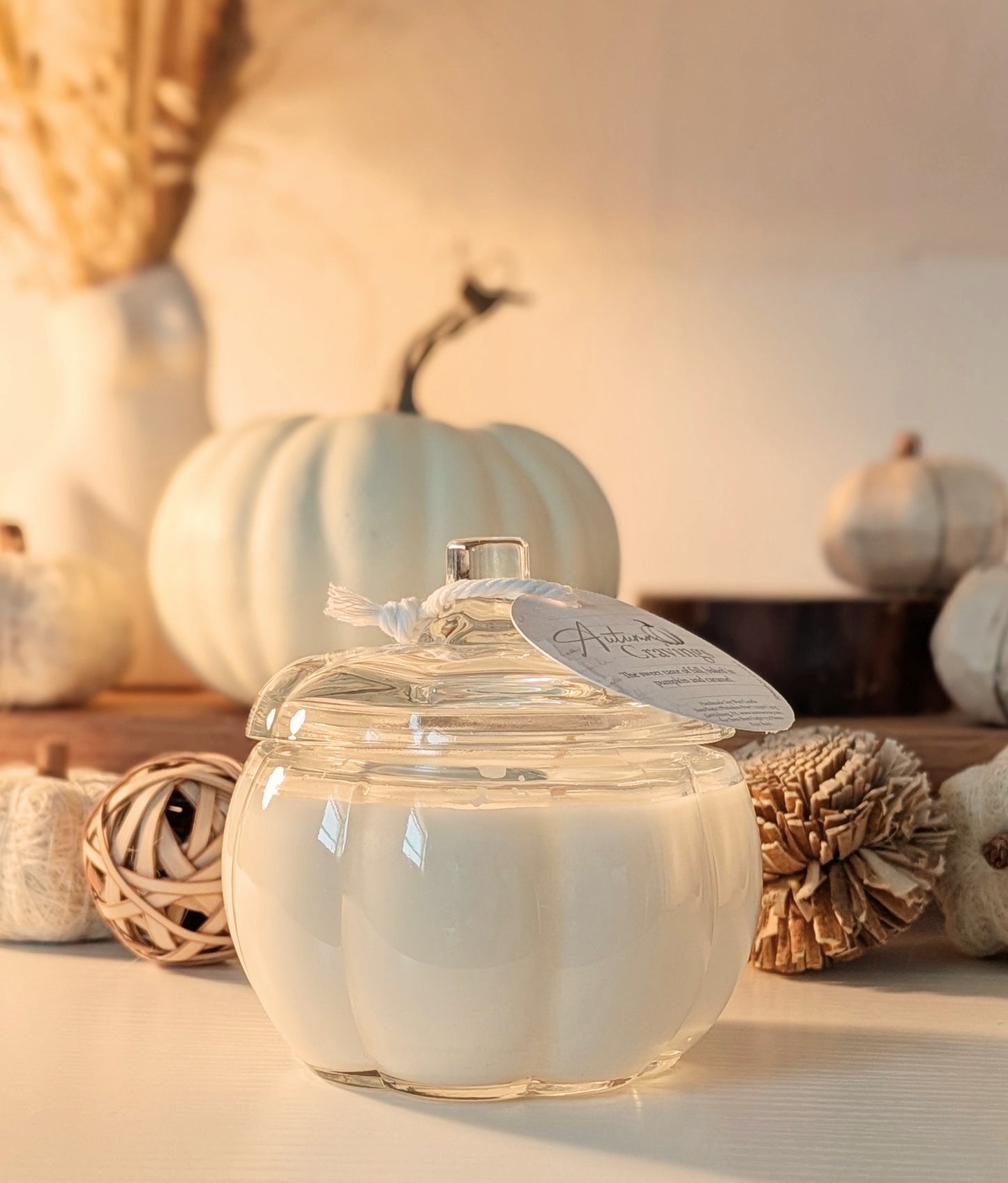 Autumn Cravings 14.5oz Pumpkin Candle LIMITED QUANTITY