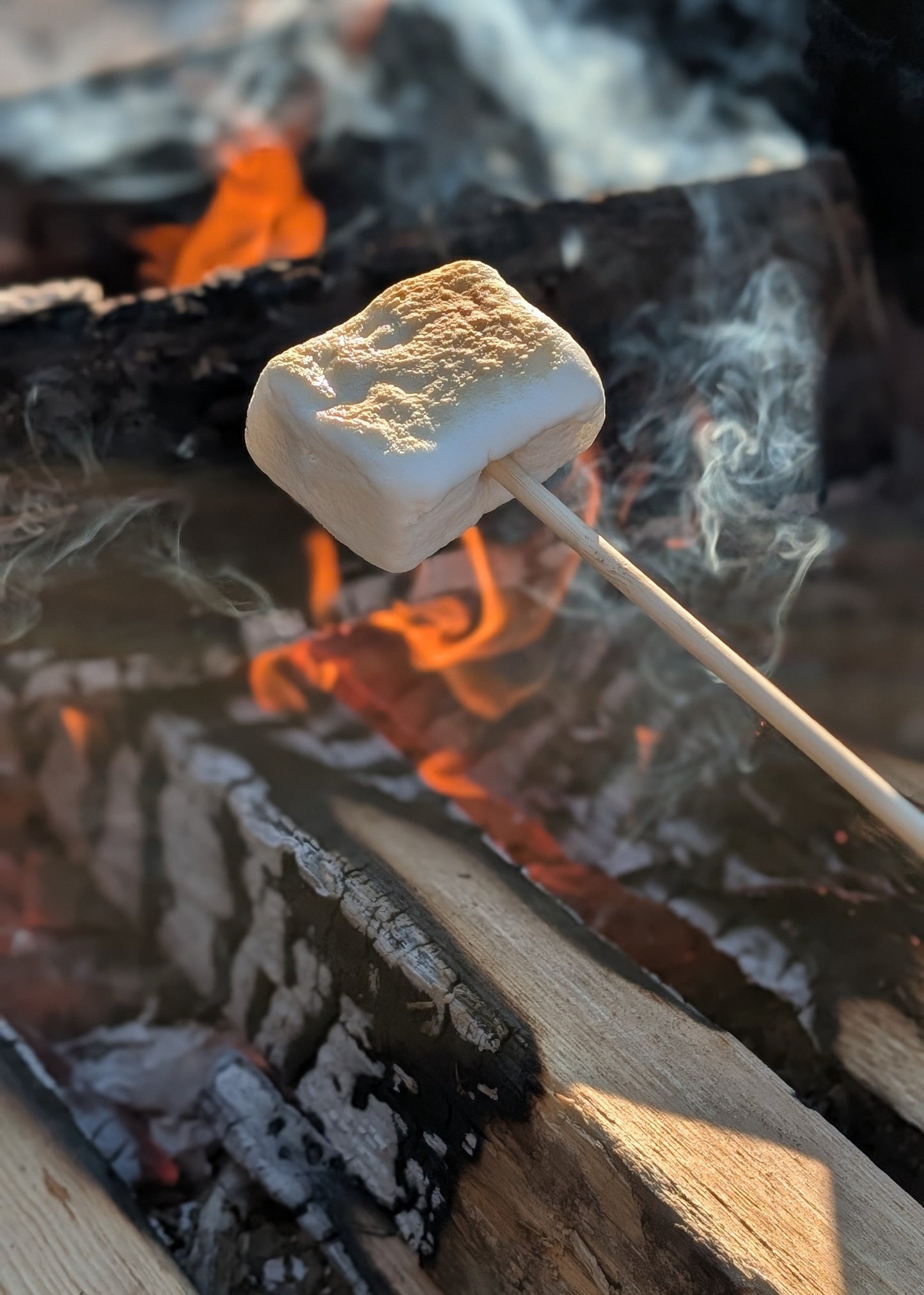 Marshmallow on a stick being roasted over an open fire.