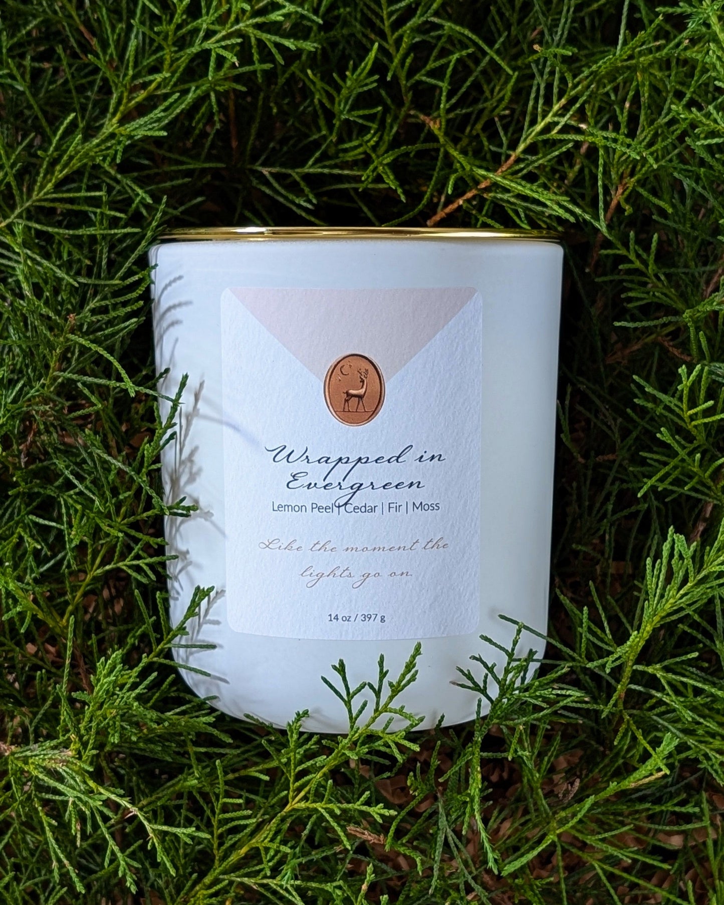 Wrapped in Evergreen 14oz Candle