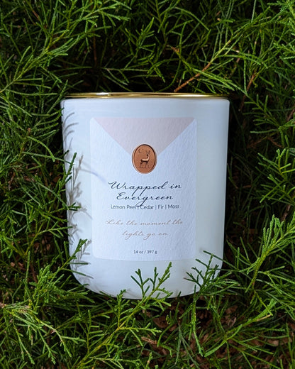 Wrapped in Evergreen 14oz Candle