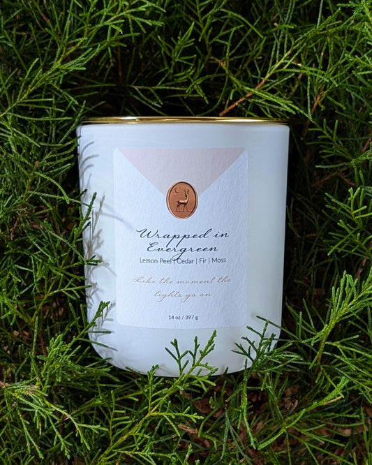 Wrapped in Evergreen 14oz Candle