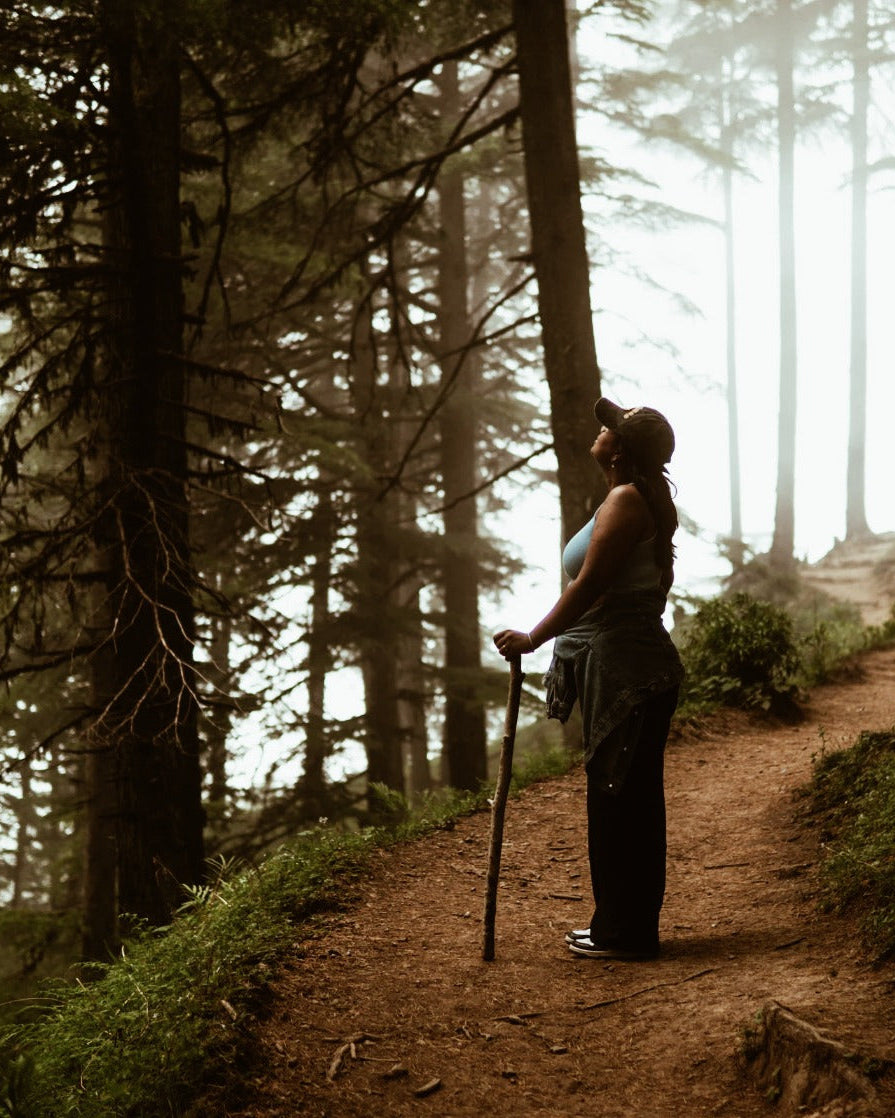 Person hiking on a misty forest path with a walking stick