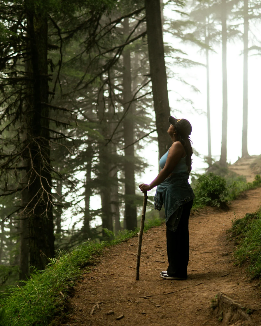 Person hiking on a trail through a misty forest