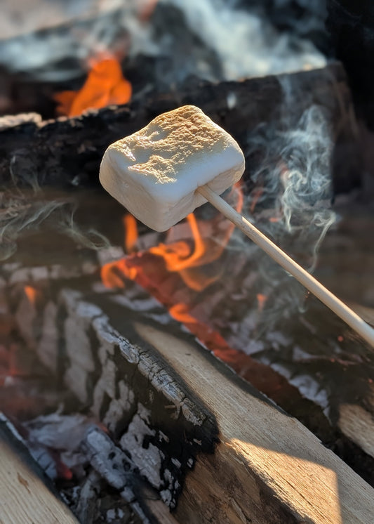 Marshmallow on a stick being roasted over an open fire.