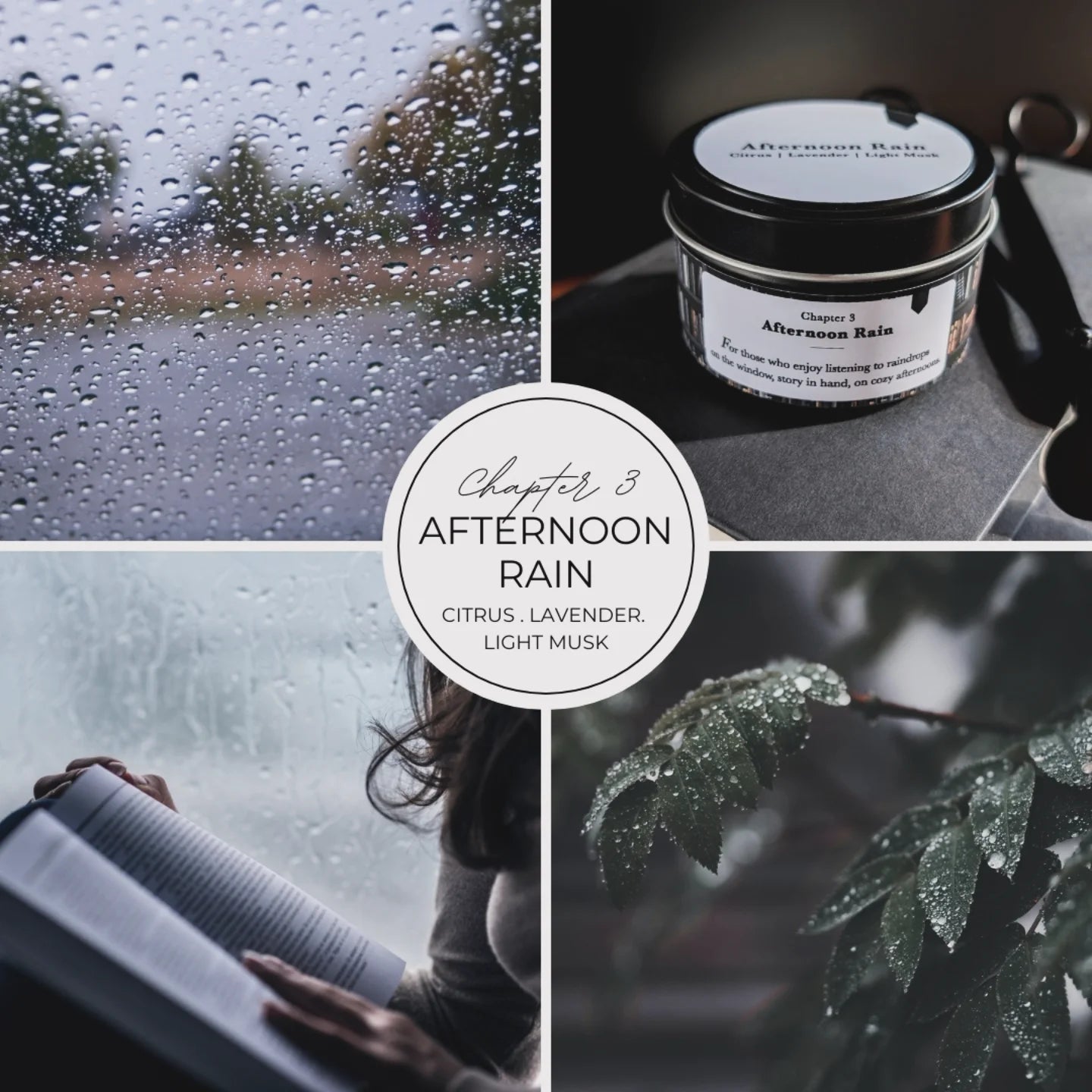 Book Lovers Trio Candle Gift Set | A Cozy Reading Experience